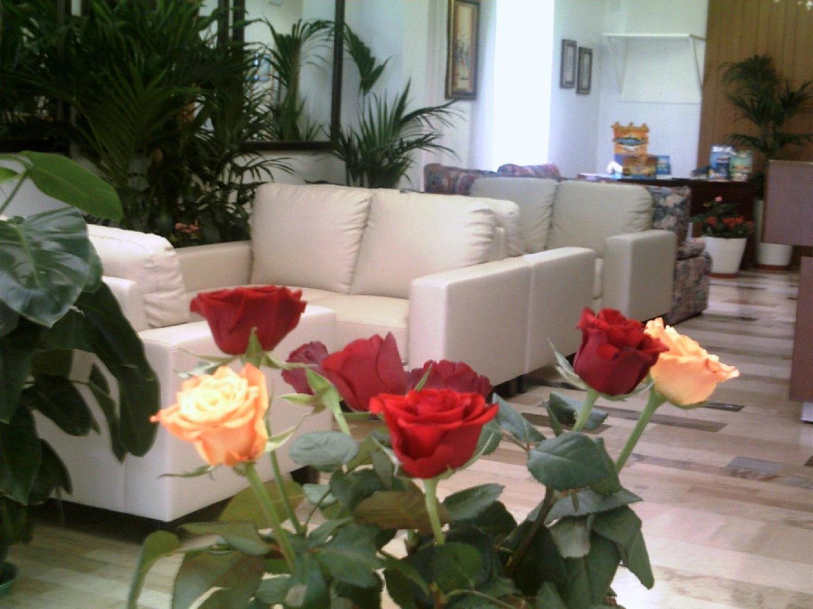 New Hotel Lido di Jesolo Luaran gambar